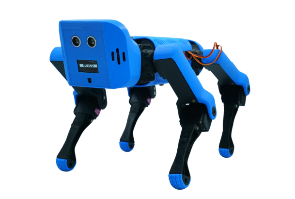 BOSCO